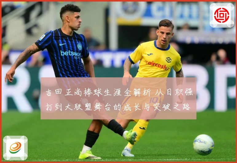 吉田正尚棒球生涯全解析 从日职强打到大联盟舞台的成长与突破之路